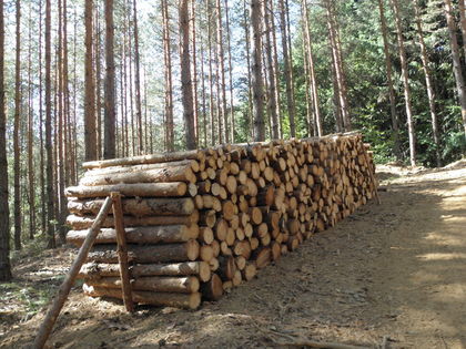 ЕСЕННА ТЕСЛА! Удрят ни с нов скок в цените на дървата и въглищата!