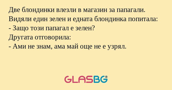 Две блондинки влезли в магазин...