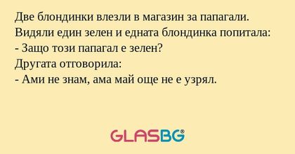 Две блондинки влезли в магазин...