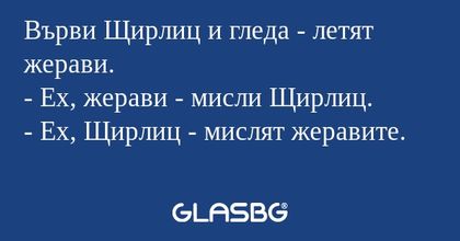 Върви Щирлиц и гледа - летят жерави...