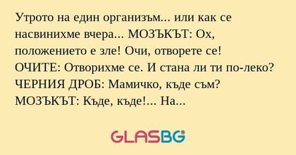 Утрото на един организъм... или...