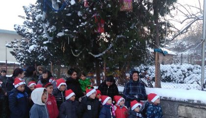 За първи път грейна Коледна елха в село Караманово