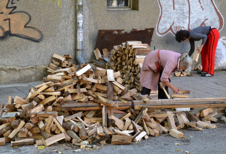 Колко ще ни струват дървата за огрев тази година?