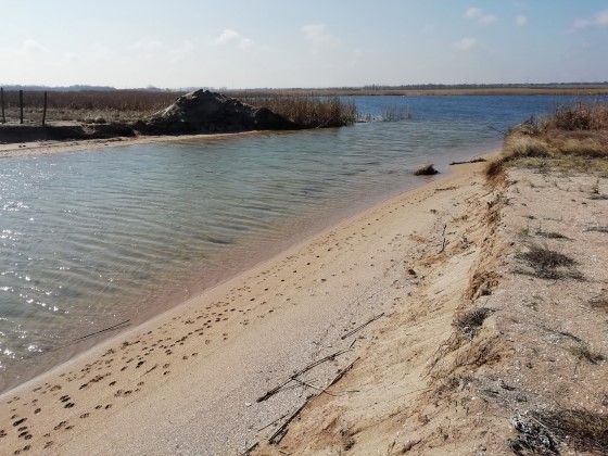Българското дружество за защита на птиците установи драстичен спад на водното ниво на Шабленски езерен комплекс