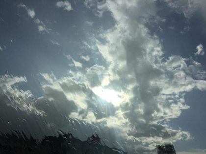 Дъжд вали, слънце грее, мечка се жени