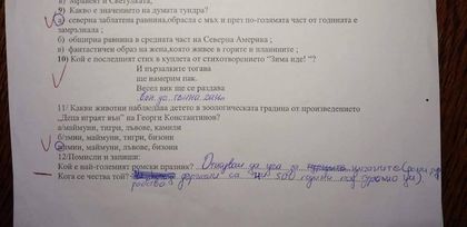 Третокласник изригна на тест: 