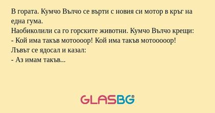 В гората. Кумчо Вълчо се върти...