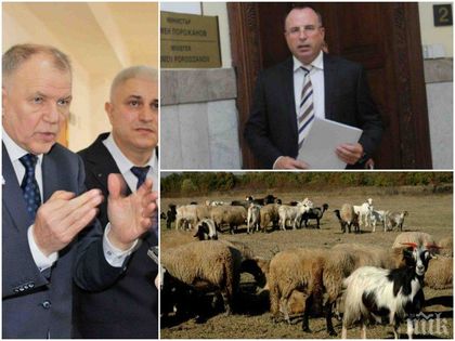 ИЗВЪНРЕДНО ОТ ЕВРОПА! Ето я истината за чумата - комисарят по здравеопазването разкри има ли епидемия и налага ли се евтаназия