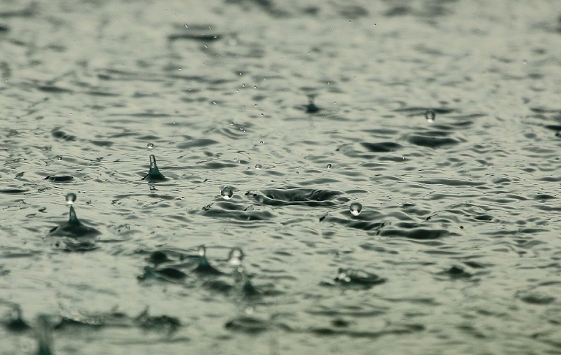 Пазарджик: Най-голямо количество валежи в областта през последното денонощие е отчетено в района на Стрелча – 74,3 л/кв. м