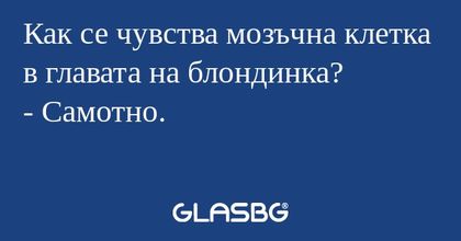 Как се чувства мозъчна клетка в...