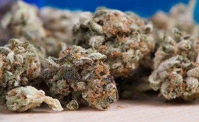 Испанската полиция конфискува 2,3 тона хашиш