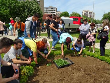 Разград изрази съпричастност към засегнатите от СПИН със засаждане на цветя