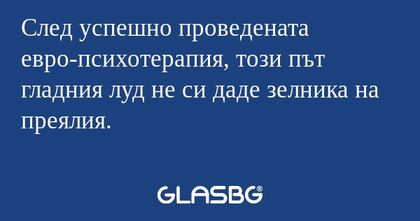 След успешно проведената евро-психотерапия...