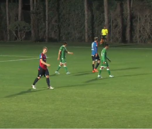 НА ЖИВО С КАРТИНА: Лудогорец - Виктория (Пилзен) 1:0