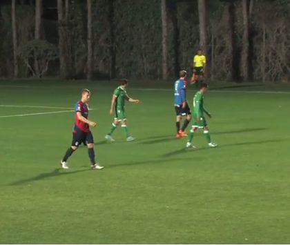 НА ЖИВО С КАРТИНА: Лудогорец - Виктория (Пилзен) 1:0