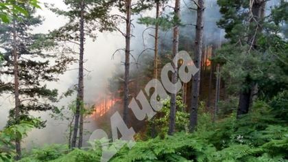 Роми дървосекачи виновни за огнения ад в Родопите