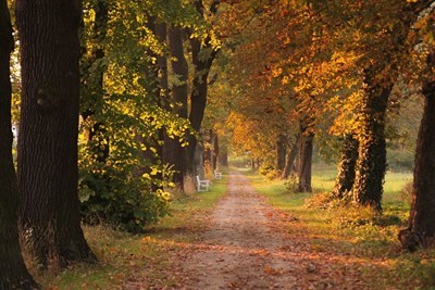 Слънчево и до 29 градуса днес