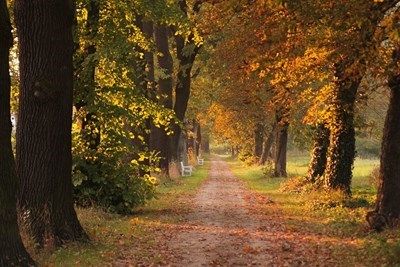 Слънчево и до 29 градуса днес