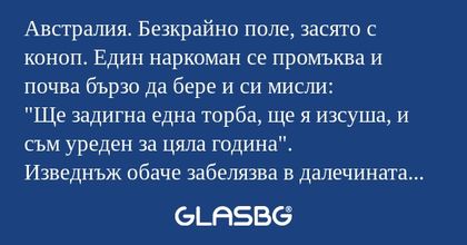 Австралия. Безкрайно поле, засято...