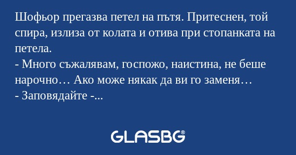 Шофьор прегазва петел на пътя...