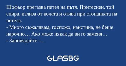 Шофьор прегазва петел на пътя...