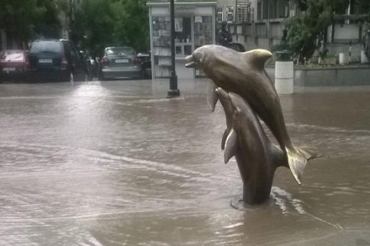 Делфините плувнаха в центъра на Варна