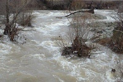Труп на удавник изплува от язовир