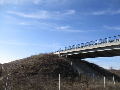 АПИ: 9000 лв. ще са необходими за възстановяването на откраднатите парапети и мантинели от надлези над АМ „Марица“