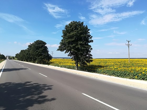 Габрово: Ремонт се извършва в участък от пътя между Севлиево и село Драгановци, шофьорите трябва да карат с повишено внимание в отсечката от км 0 до км 14