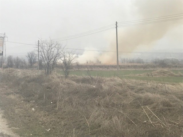 СНИМКИ:Пак голям пожар до Околовръстното на Пловдив
