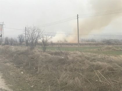 СНИМКИ:Пак голям пожар до Околовръстното на Пловдив
