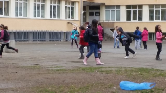 Шамарите плющят "в подземието" на ОУ "Д. Талев"
