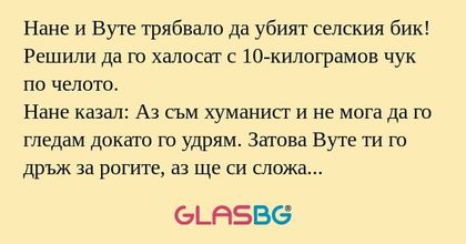 Нане и Вуте трябвало да убият селския...