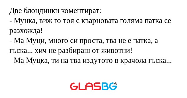 Две блондинки коментират: - Муцка...