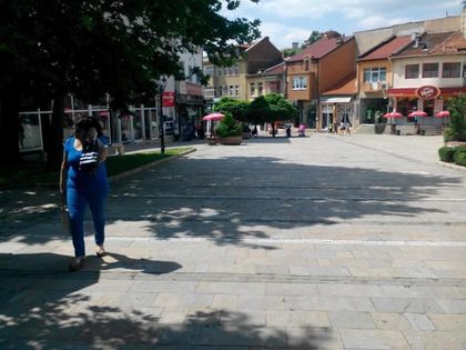 Отрова за мишки по площада на Карлово мори гълъбите