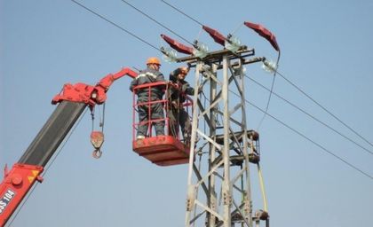 Щъркел остави високите етажи на Пловдив без вода