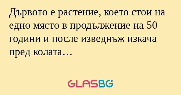 Дървото е растение, което стои...