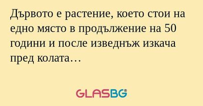 Дървото е растение, което стои...