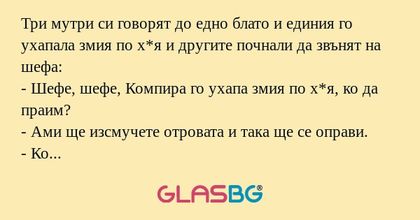 Три мутри си говорят до едно блато...