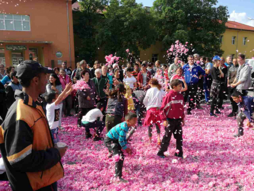 В Карловско блокираха пътища, разсипаха тонове розов цвят (СНИМКИ)