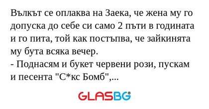 Вълкът се оплаква на Заека, че...