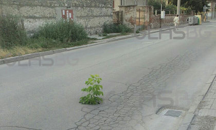 Нова дупка троши коли в Коматево! Намериха цаката и на нея! СНИМКИ