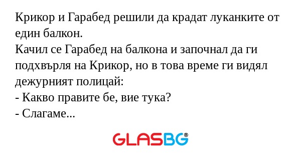 Крикор и Гарабед решили да крадат...