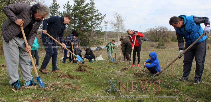 Хасковлии засадиха 200 акации в кампанията “Да залесим България”