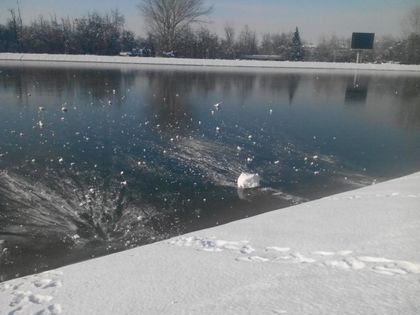 Зимна приказка на Гребната