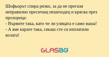 Шофьорът спира рязко, за да не...