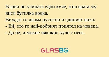 Върви по улицата едно куче, а на...