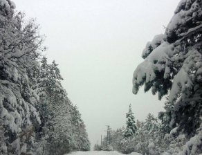 Какво време ни очаква през новата седмица