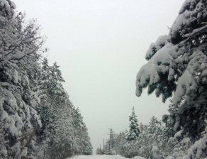 Какво време ни очаква през новата седмица