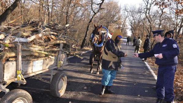 357 хванати за незаконна сеч, само 1 осъден на пробация
